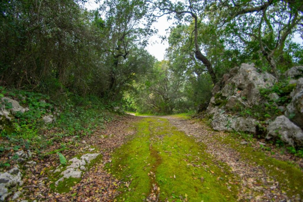 Nature trail