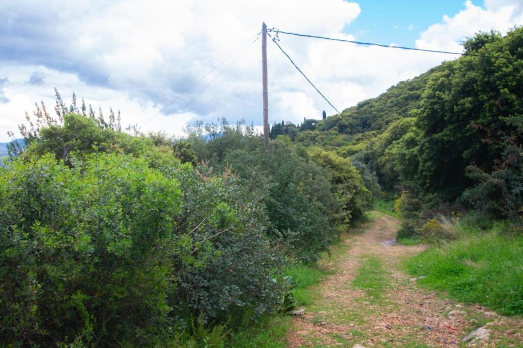 Surroundings
