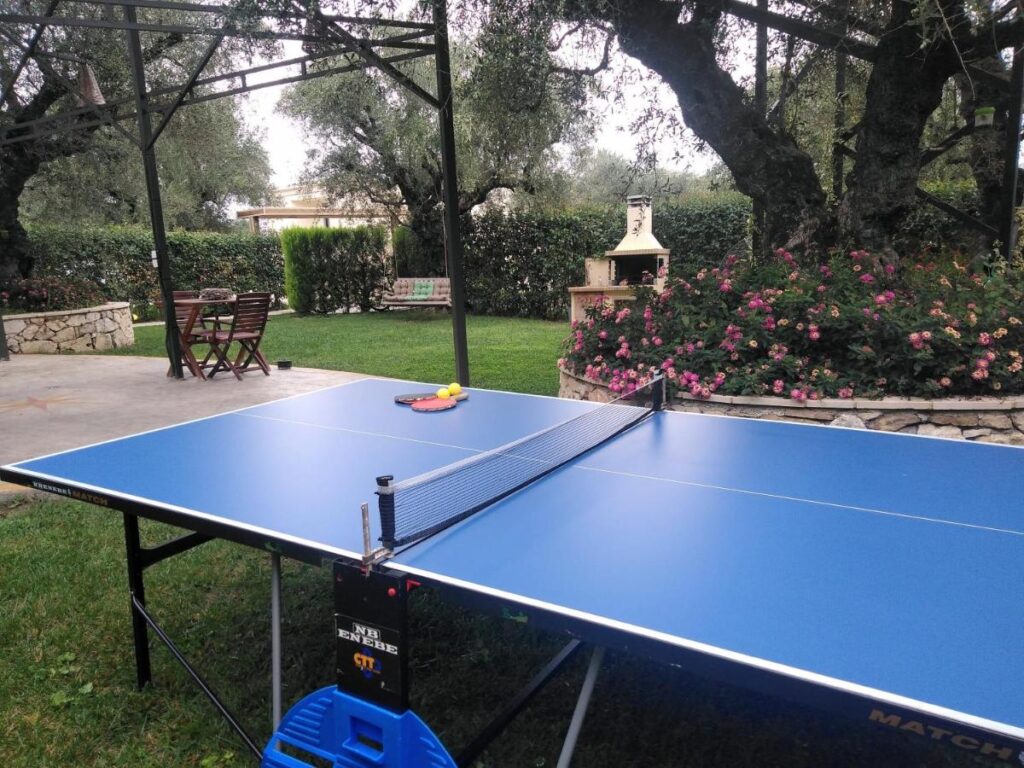 Table tennis